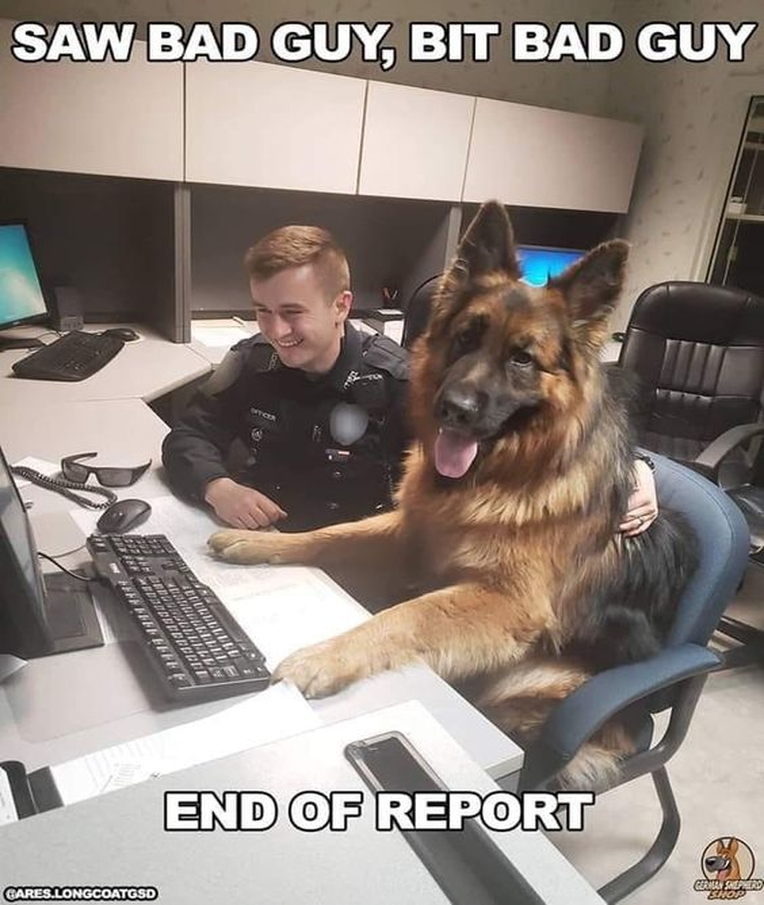 End of Report