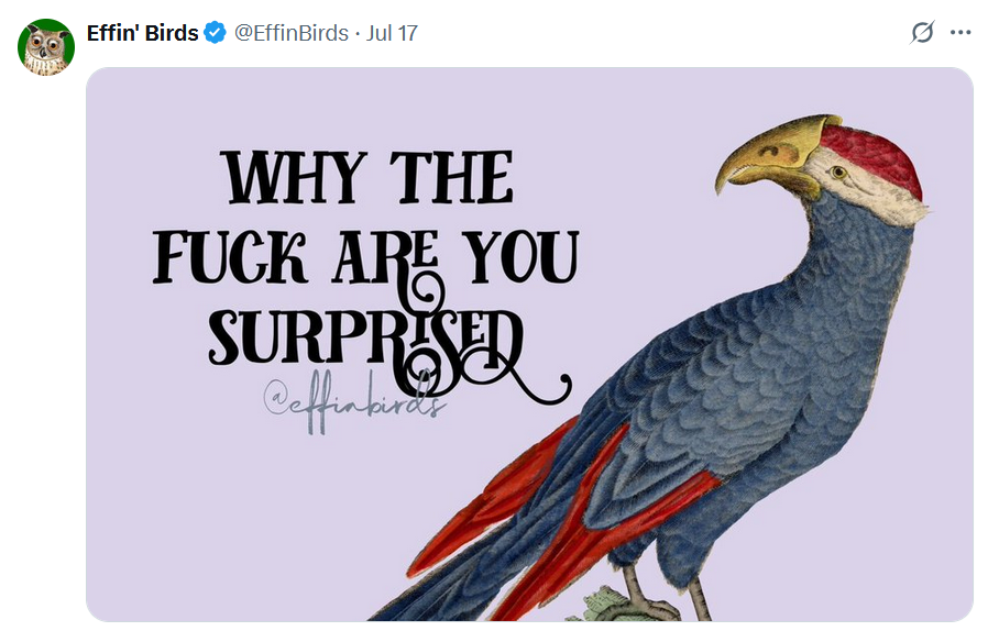 Why are you surpised?
