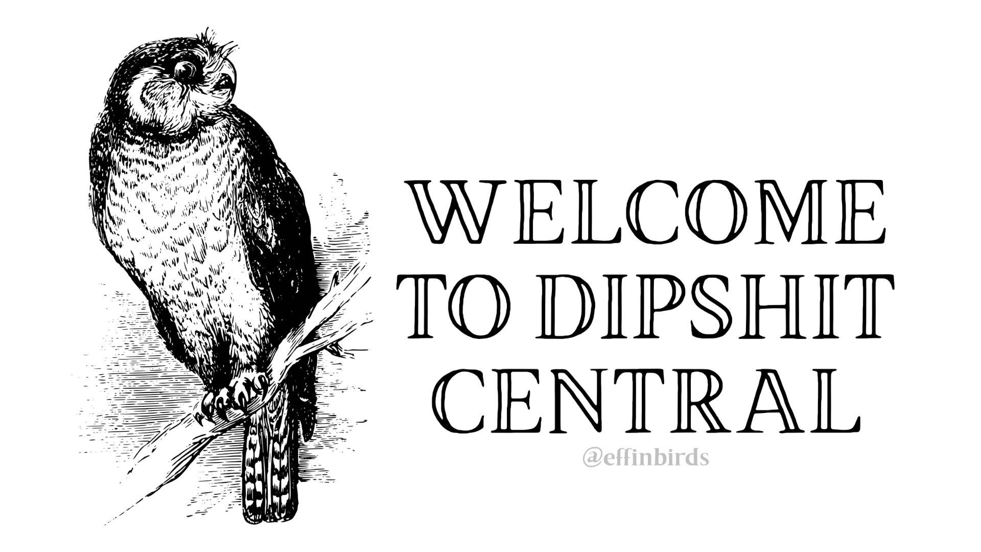 Welcome To Dipshit Central